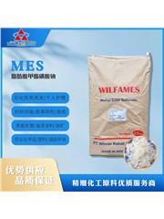 脂肪酸甲酯磺酸钠 MES